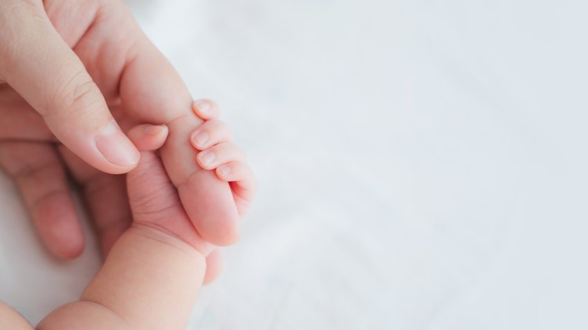 Mother uses her hand to hold her baby’s tiny hand to make him feeling her love, warm and secure. Newborn.