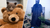 Osezno huérfano en California encuentra consuelo en un oso de peluche y cuidadores disfrazados