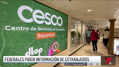 Federales piden al gobierno lista de extranjeros con licencia de conducir temporera