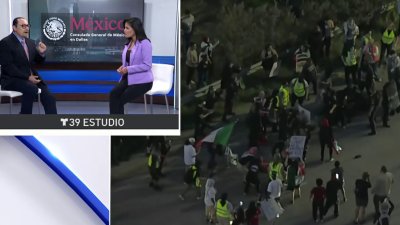 “Manifestarse pacíficamente” pide el Cónsul de México en Dallas