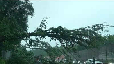 Reportan caída de árboles cerca de la I-66 en Virginia