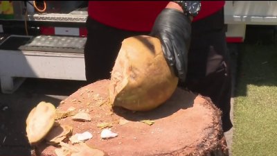 Cómo un residente de Rockville creó un oasis para el calor