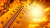Nueva York declara estado de emergencia en medio del calor extremo en la región