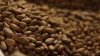 ¿Consumes chocolate? Te decimos cómo la crisis climática impacta su producción