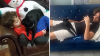 Después de estar desaparecido durante más de 8 años, un gato en Long Island regresa a casa