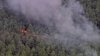 Arden las llamas en bosque estatal Wharton en NJ