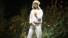 La explosión de Bad Bunny y la cultura latina no es un fenómeno aislado, según expertos