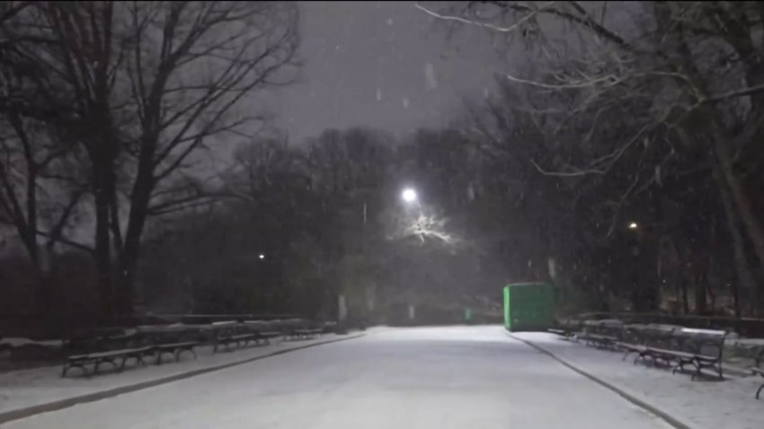 La nieve llega al Parque Central después de 4 años