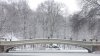 Ventisca de 2026 entre las 10 nevadas más grandes registradas en Central Park
