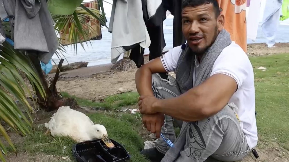 La increíble historia de Filomena, la pata que acompaña a un migrante en su regreso de a pie a Venezuela