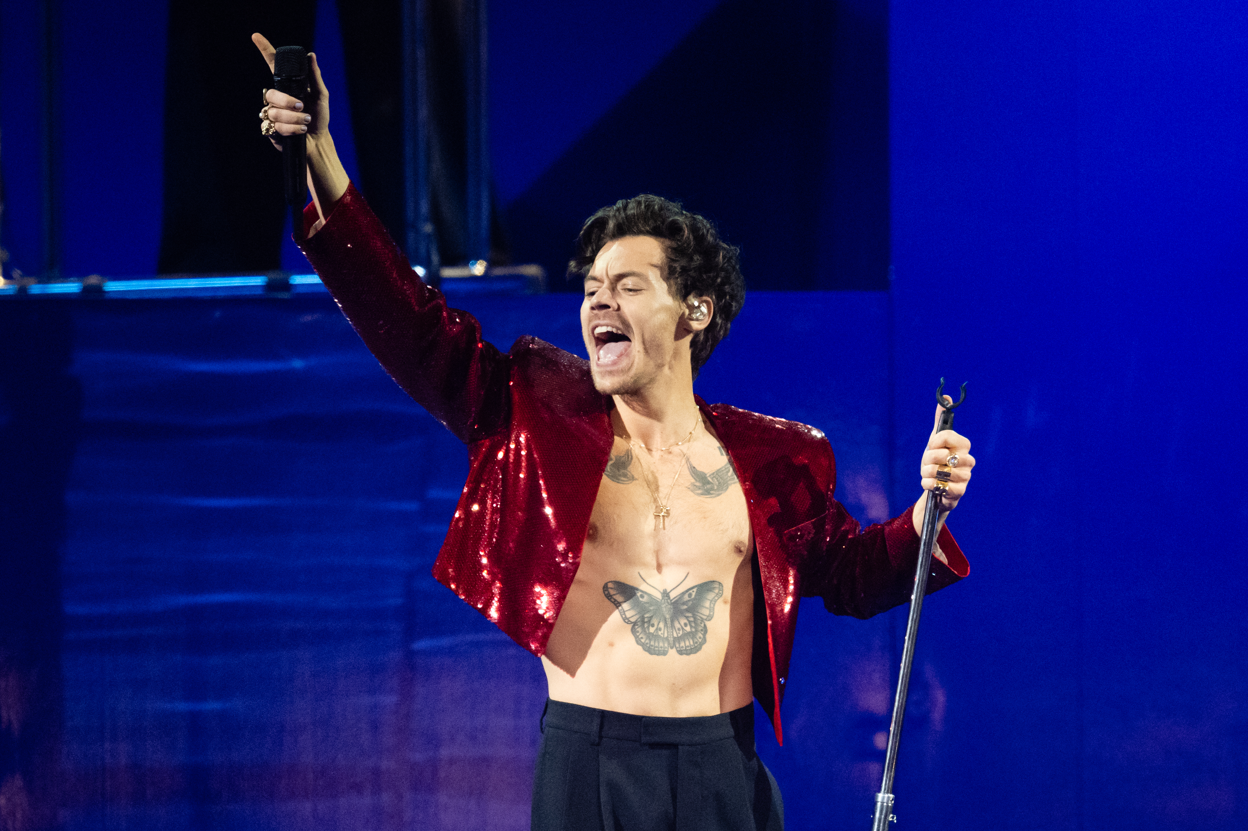 Harry Styles revela tienda 