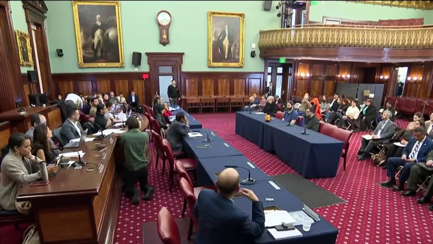 NYC city council meeting