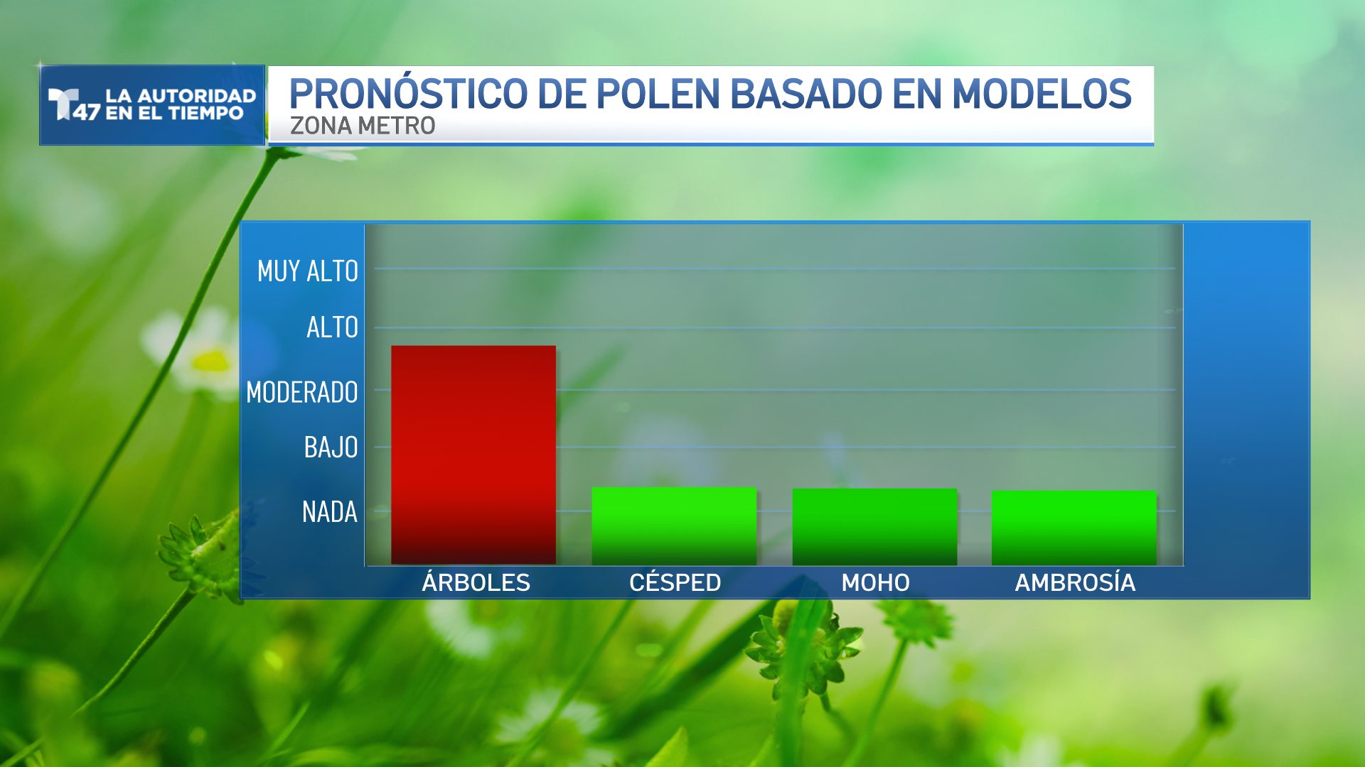 ¿Cuándo termina la temporada de alergias en Nueva York? – Telemundo New ...