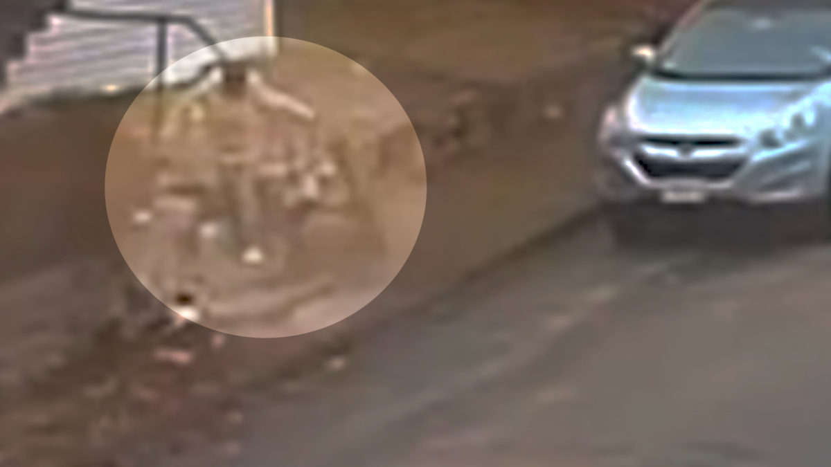 Zorro ataca a una mujer frente a su casa; todo queda registrado en video