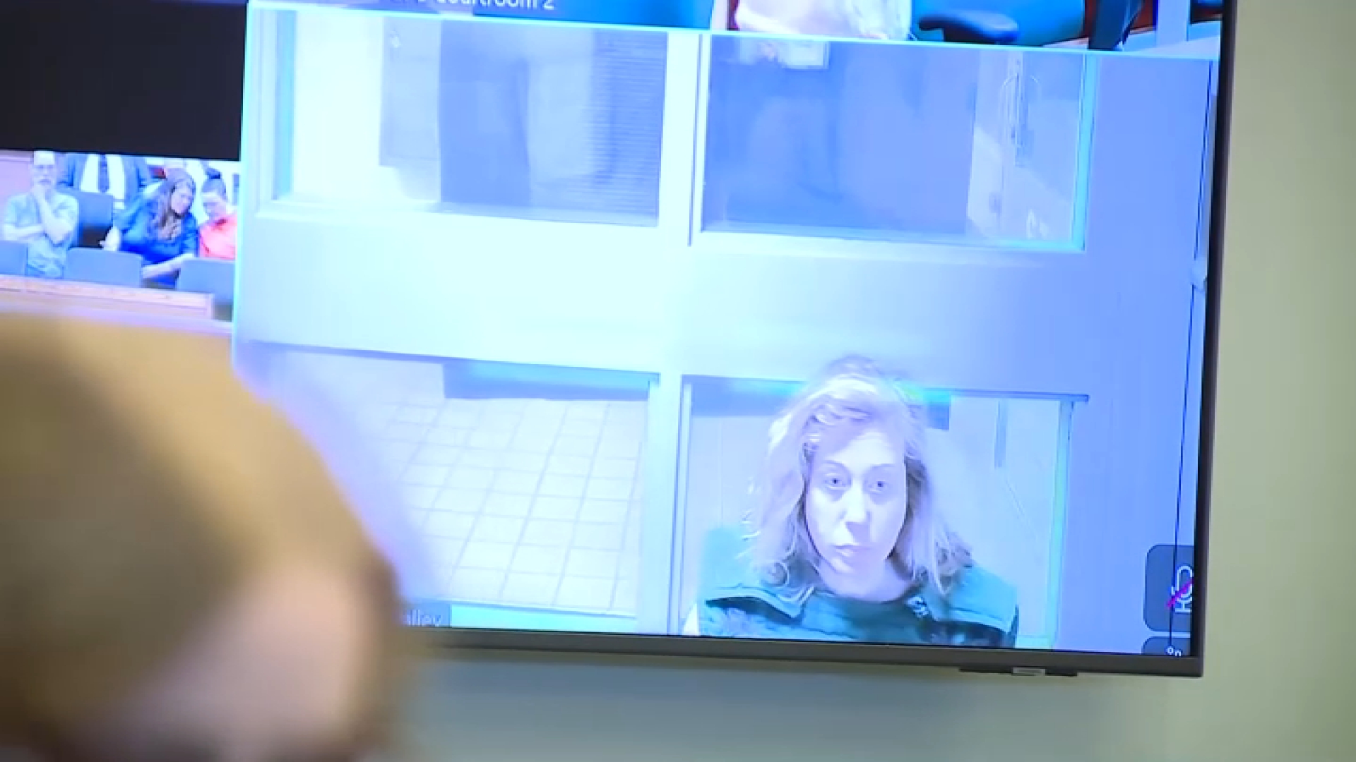 Janette MacAusland appeared by video in a Vermont courtroom Monday, April 27, 2027, for an extradition hearing connected to the death of her children in Wellesley, Massachusetts.