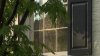 Policía: hombre entró por la fuerza a una casa de Kalorama e intentó agredir a una joven