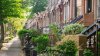 Jardín Botánico de Brooklyn revela las cuadras más verdes