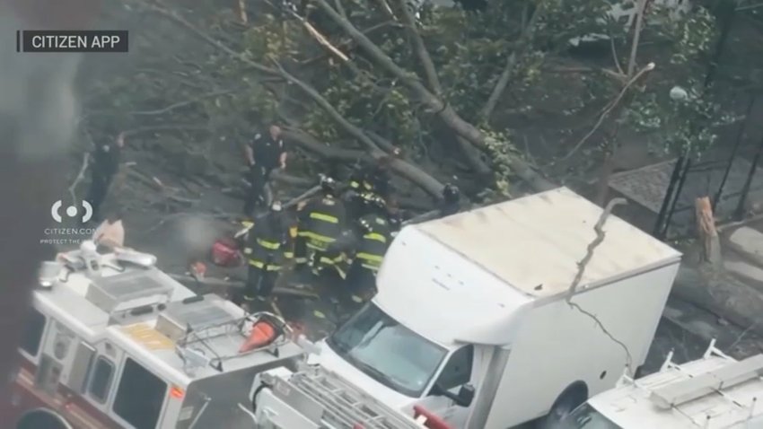 NBC-ny-man-killed-falling-tree