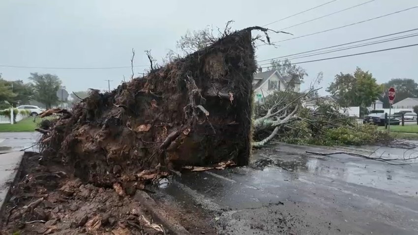 NBC-ny-tree-down-st_b9c73b