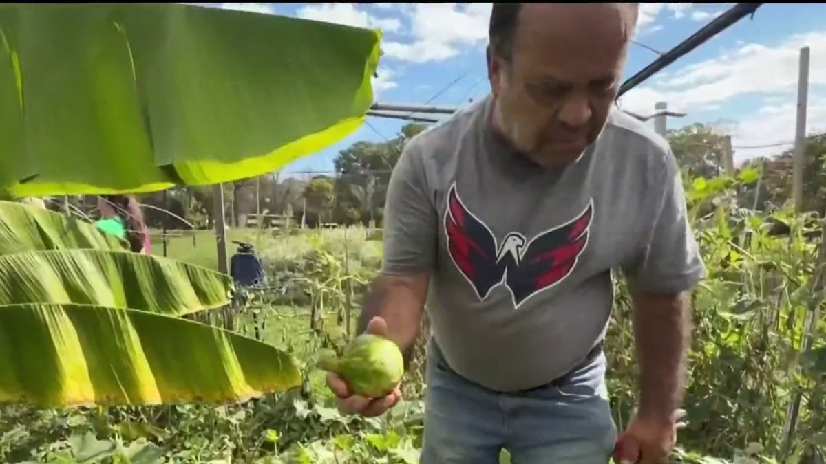 Montgomery invierte más de $200,000 para combatir la inseguridad alimentaria