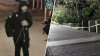 Revelan imágenes del sospechoso de agredir sexualmente a una mujer bajo amenaza de cuchillo en Central Park