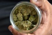 Bodegueros de NY exigen licencias para la venta de cannabis. Noticias en tiempo real