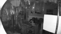 Captado en video: El ladrón se arriesgó a romper el cristal de la puerta principal, pero logró entrar y salir con un bolsillo lleno de...