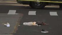 Mujer muere atropellada en concurrida calle de Queens. Noticias en tiempo real