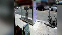 NYPD: mujer arrebata el bolso a abuela en Sunset Park. Noticias en tiempo real