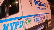 Joven muere acribillado a tiros en el alto Manhattan. Noticias en tiempo real
