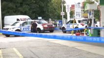 NYPD: Mujer muere arrollada por su esposo en accidente . Noticias en tiempo real