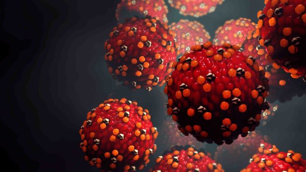 What is measles and how can you avoid getting infected?