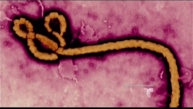 Video: EEUU toma precauciones contra el ébola