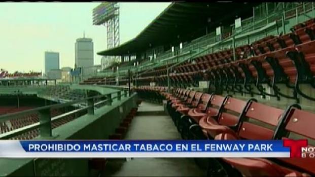 Prohibido mascar tabaco en Fenway