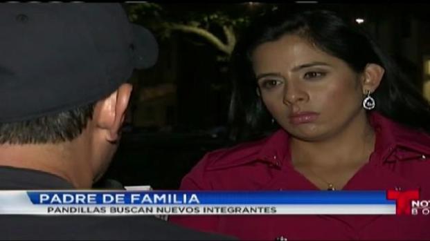 Comunidad desea parar crimen organizado en East Boston