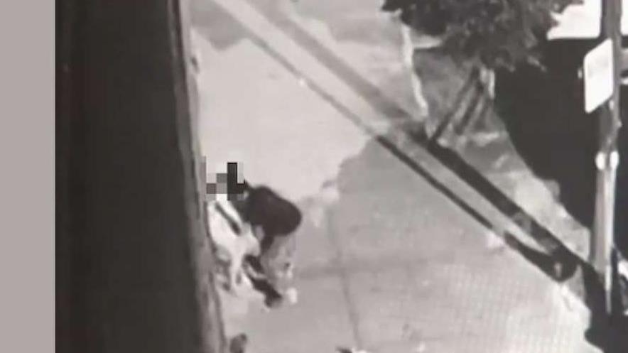 NYPD: Turista atacada por hombre que intentó violarla