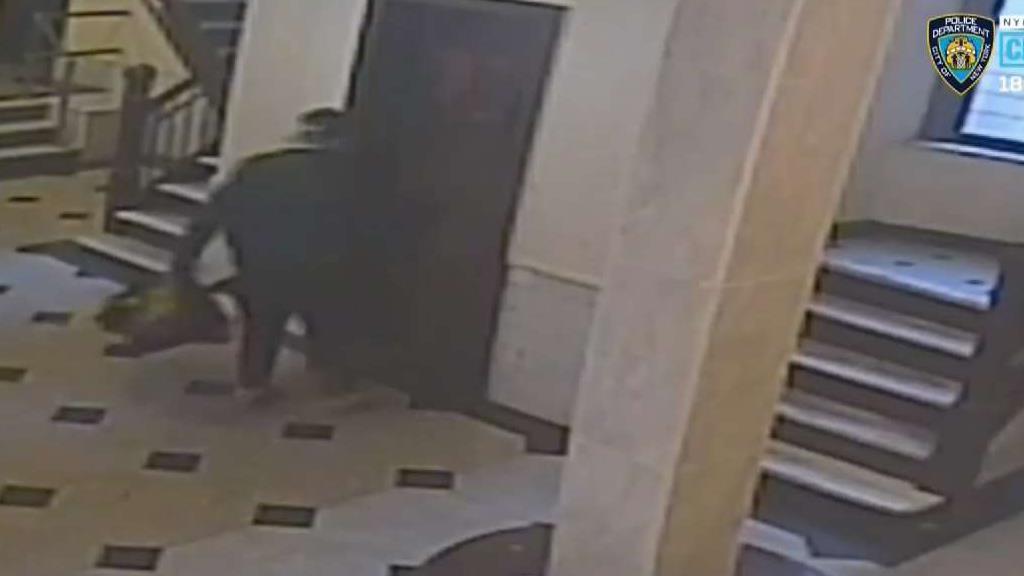 Anciano atacado brutalmente en ascensor de edificio